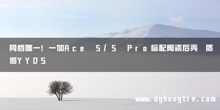 同档唯一！一加Ace 5/5 Pro标配陶瓷后壳 质感YYDS